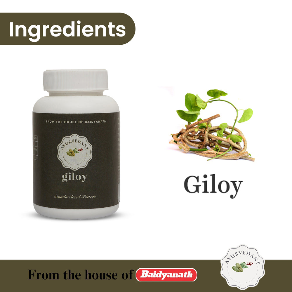 Giloy (Guduchi/Amrita)
