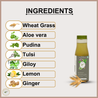 Wheatgrass Juice (Buy 1 Get 1 Free)