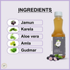 Ready to Drink Juice – Jamun & Karela (1 Ltr)