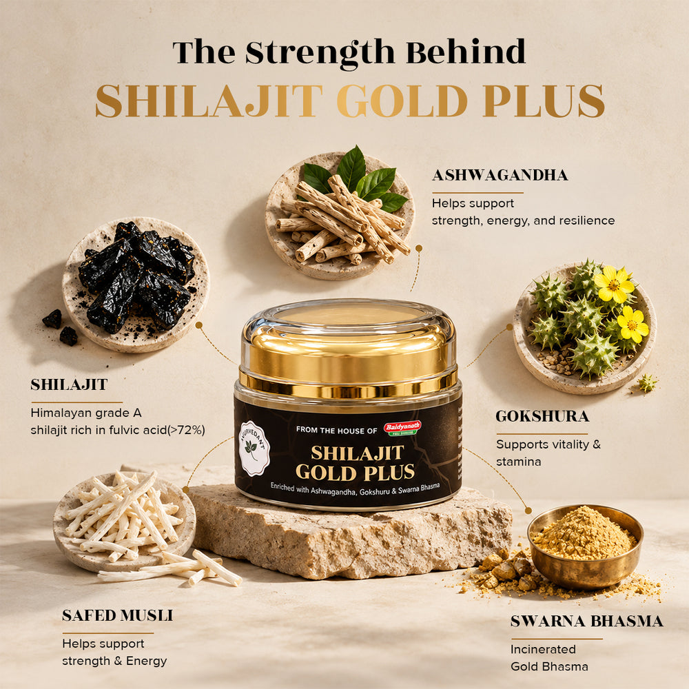 Shilajit Gold Plus Resin 20gm