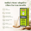 Isabgol Psyllium Husk Powder 100 Gm
