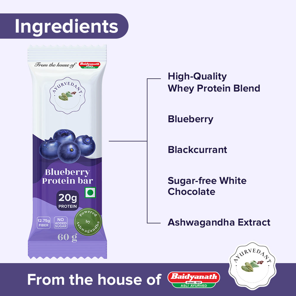 Blueberry Protein Bars - No added Sugar , High Protein 