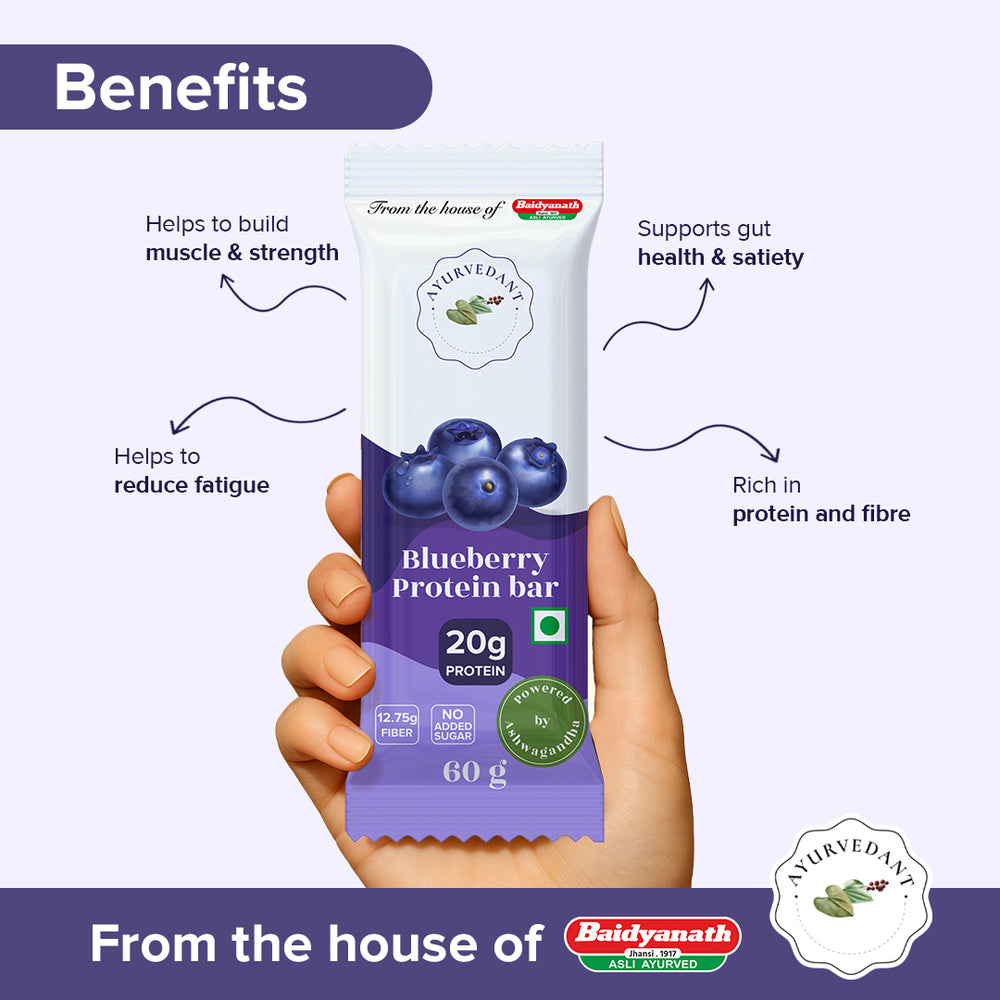 Blueberry Protein Bars - No added Sugar , High Protein 